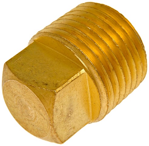 Dorman Pipe Plug P/N:785-073D