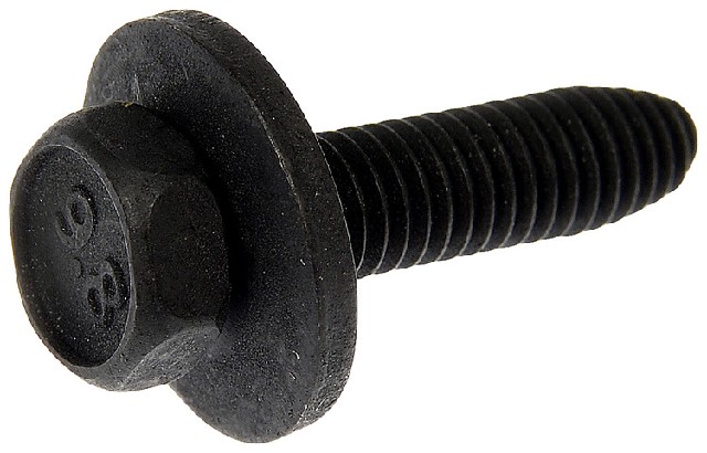 BODY BOLT