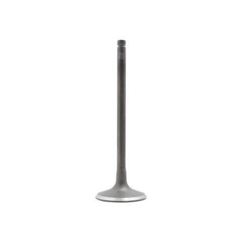 DNJ Engine Intake Valve P/N:IV353