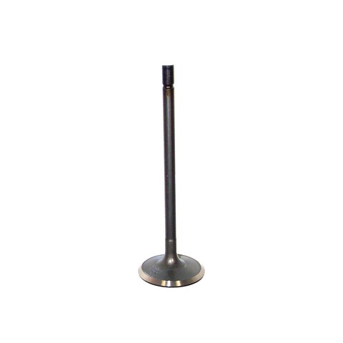 DNJ Engine Intake Valve P/N:IV624