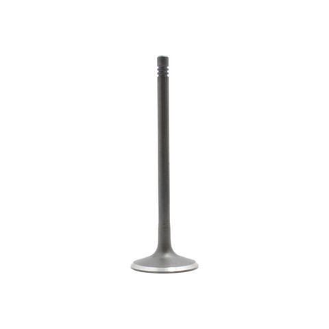 DNJ Engine Intake Valve P/N:IV802