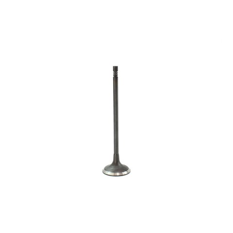 DNJ Engine Intake Valve P/N:IV828