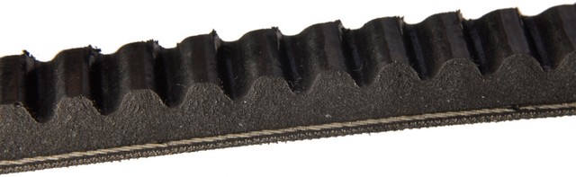 Continental Accessory Drive Belt P/N:17351