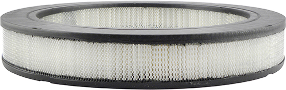 Baldwin Engine Air Filter P/N:PA2065
