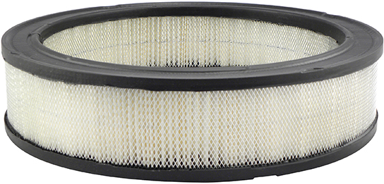 Baldwin Engine Air Filter P/N:PA2051