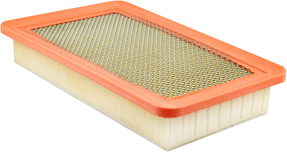 Baldwin Engine Air Filter P/N:PA10006