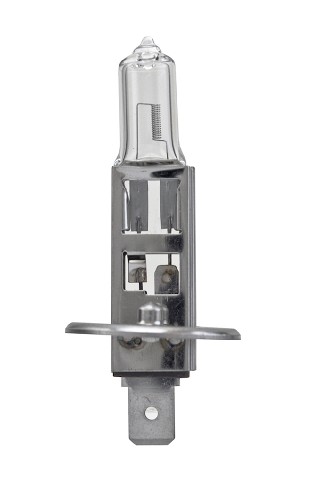 BULB 12V 55W P14.5S T2.5