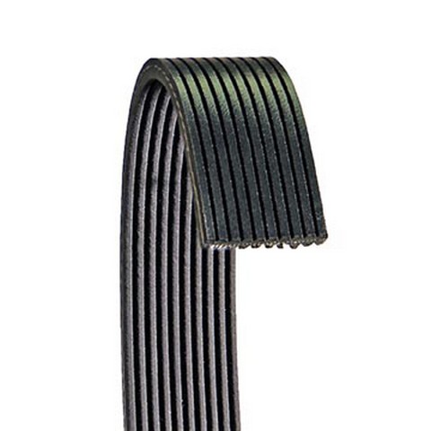 Dayco Serpentine Belt P/N:6100672