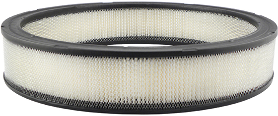 Baldwin Engine Air Filter P/N:PA2024