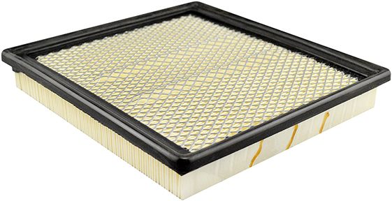 Baldwin Engine Air Filter P/N:PA10015