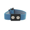 Botron B9358  |  Blue Dual Wire Wrist Strap Set 12'
