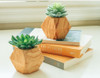 Artificial Succulent, Candle & Coasters Gift Box