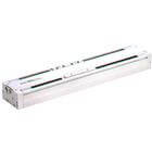 REAH, Sine Rodless Cylinder, High Precision Guide