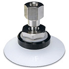 ZPT-B*, Female Thread