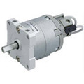 C(D)RBU2*10~40-Z, Rotary Actuator, Free Mount-L-TE