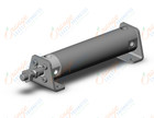 SMC CDG1LN32TF-100Z cylinder, CG/CG3 ROUND BODY CYLINDER