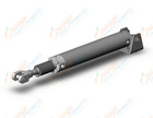 SMC CDG1DN50TN-250JZ-NW cg1, air cylinder, ROUND BODY CYLINDER