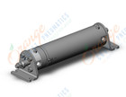 SMC NCDGLA63-0800-M9PWSDPCS ncg cylinder, ROUND BODY CYLINDER