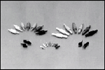 SERIES IMAGE-FOR REFERENCE ONLY