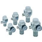 ARP Precision Regulator