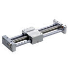 Rodless Cylinder, REAL