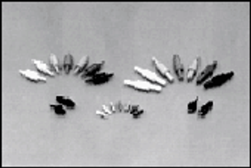SERIES IMAGE-FOR REFERENCE ONLY