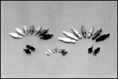 SERIES IMAGE-FOR REFERENCE ONLY