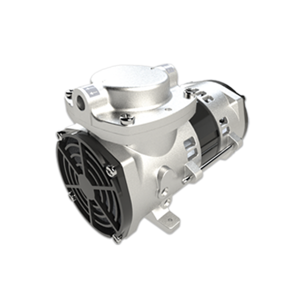Thomas Pumps