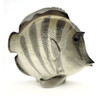 The lovely, striped discus, aka pompadour, fish as created in the Lomonosov Porcelain Factory in St. Petersburg. 8½" x 3" x 7¼". Hand painted, Lomonosov backstamp. Brand new condition.The symphysodon is a genus of cichlids native to the Amazon river basin in Brazil. Due to their distinctive shape, calm behavior, and dedicated parenting techniques, discus are popular as freshwater aquarium fish. It has attracted a large hobbyist following and has created a multimillion dollar international industry complete with shows, competitions, and reputable online breeders. The lovely, striped discus, aka pompadour, fish as created in the Lomonosov Porcelain Factory in St. Petersburg. 8½" x 3" x 7¼". Hand painted, Lomonosov backstamp. Brand new condition.The symphysodon is a genus of cichlids native to the Amazon river basin in Brazil. Due to their distinctive shape, calm behavior, and dedicated parenting techniques, discus are popular as freshwater aquarium fish. It has attracted a large hobbyist following and has created a multimillion dollar international industry complete with shows, competitions, and reputable online breeders.