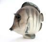 The lovely, striped discus, aka pompadour, fish as created in the Lomonosov Porcelain Factory in St. Petersburg. 8½" x 3" x 7¼". Hand painted, Lomonosov backstamp. The symphysodon is a genus of cichlids native to the Amazon river basin in Brazil. Due to their distinctive shape, calm behavior, and dedicated parenting techniques, discus are popular as freshwater aquarium fish. It has attracted a large hobbyist following and has created a multimillion dollar international industry complete with shows, competitions, and reputable online breeders. The lovely, striped discus, aka pompadour, fish as created in the Lomonosov Porcelain Factory in St. Petersburg. 8½" x 3" x 7¼". Hand painted, Lomonosov backstamp. The symphysodon is a genus of cichlids native to the Amazon river basin in Brazil. Due to their distinctive shape, calm behavior, and dedicated parenting techniques, discus are popular as freshwater aquarium fish. It has attracted a large hobbyist following and has created a multimillion dollar international industry complete with shows, competitions, and reputable online breeders.