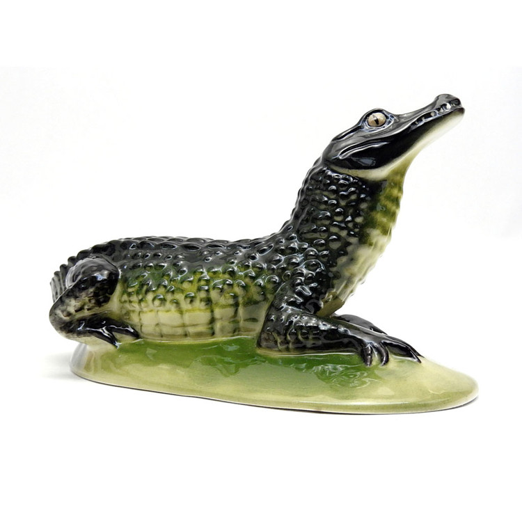  Alligator (Crocodile)