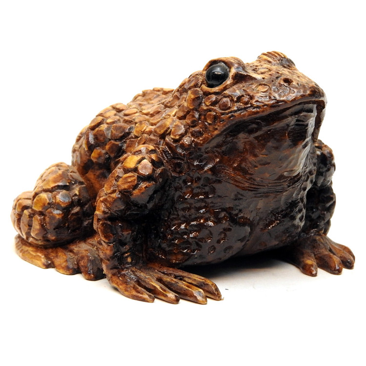 Svetlov_Toad_1__43142.