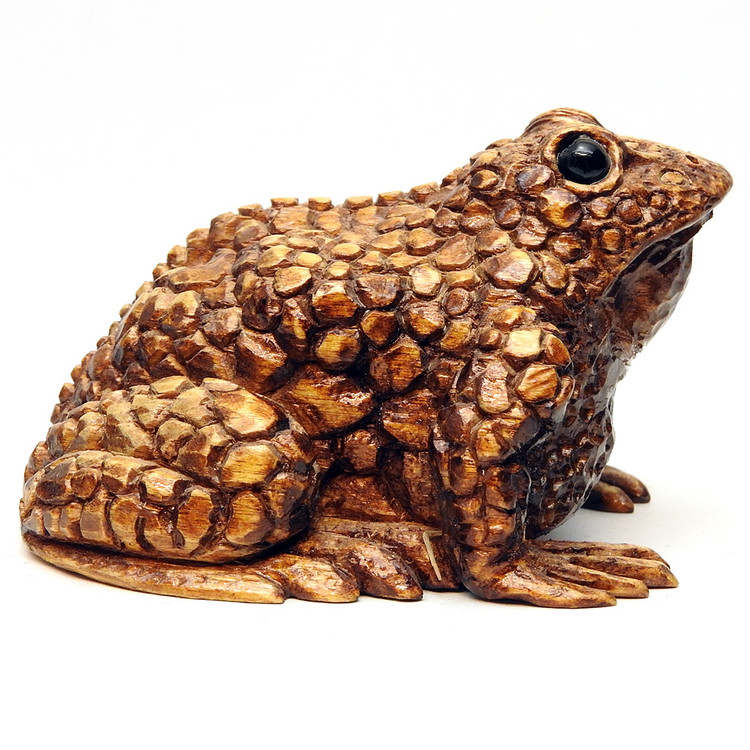 Toad (Zhaba) by Svetlov