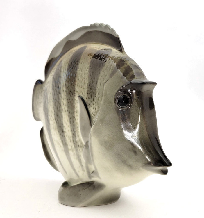 The lovely, striped discus, aka pompadour, fish as created in the Lomonosov Porcelain Factory in St. Petersburg. 8½" x 3" x 7¼". Hand painted, Lomonosov backstamp. Brand new condition.The symphysodon is a genus of cichlids native to the Amazon river basin in Brazil. Due to their distinctive shape, calm behavior, and dedicated parenting techniques, discus are popular as freshwater aquarium fish. It has attracted a large hobbyist following and has created a multimillion dollar international industry complete with shows, competitions, and reputable online breeders. The lovely, striped discus, aka pompadour, fish as created in the Lomonosov Porcelain Factory in St. Petersburg. 8½" x 3" x 7¼". Hand painted, Lomonosov backstamp. Brand new condition.The symphysodon is a genus of cichlids native to the Amazon river basin in Brazil. Due to their distinctive shape, calm behavior, and dedicated parenting techniques, discus are popular as freshwater aquarium fish. It has attracted a large hobbyist following and has created a multimillion dollar international industry complete with shows, competitions, and reputable online breeders.