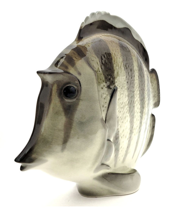 The lovely, striped discus, aka pompadour, fish as created in the Lomonosov Porcelain Factory in St. Petersburg. 8½" x 3" x 7¼". Hand painted, Lomonosov backstamp. Brand new condition.The symphysodon is a genus of cichlids native to the Amazon river basin in Brazil. Due to their distinctive shape, calm behavior, and dedicated parenting techniques, discus are popular as freshwater aquarium fish. It has attracted a large hobbyist following and has created a multimillion dollar international industry complete with shows, competitions, and reputable online breeders. The lovely, striped discus, aka pompadour, fish as created in the Lomonosov Porcelain Factory in St. Petersburg. 8½" x 3" x 7¼". Hand painted, Lomonosov backstamp. Brand new condition.The symphysodon is a genus of cichlids native to the Amazon river basin in Brazil. Due to their distinctive shape, calm behavior, and dedicated parenting techniques, discus are popular as freshwater aquarium fish. It has attracted a large hobbyist following and has created a multimillion dollar international industry complete with shows, competitions, and reputable online breeders.
