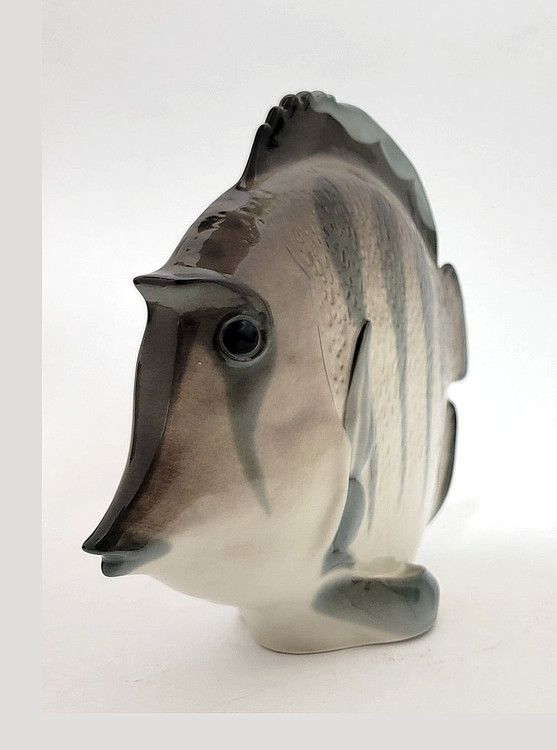 The lovely, striped discus, aka pompadour, fish as created in the Lomonosov Porcelain Factory in St. Petersburg. 8½" x 3" x 7¼". Hand painted, Lomonosov backstamp. The symphysodon is a genus of cichlids native to the Amazon river basin in Brazil. Due to their distinctive shape, calm behavior, and dedicated parenting techniques, discus are popular as freshwater aquarium fish. It has attracted a large hobbyist following and has created a multimillion dollar international industry complete with shows, competitions, and reputable online breeders. The lovely, striped discus, aka pompadour, fish as created in the Lomonosov Porcelain Factory in St. Petersburg. 8½" x 3" x 7¼". Hand painted, Lomonosov backstamp. The symphysodon is a genus of cichlids native to the Amazon river basin in Brazil. Due to their distinctive shape, calm behavior, and dedicated parenting techniques, discus are popular as freshwater aquarium fish. It has attracted a large hobbyist following and has created a multimillion dollar international industry complete with shows, competitions, and reputable online breeders.