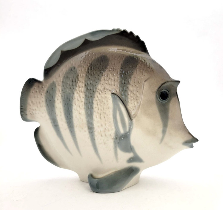 The lovely, striped discus, aka pompadour, fish as created in the Lomonosov Porcelain Factory in St. Petersburg. 8½" x 3" x 7¼". Hand painted, Lomonosov backstamp. The symphysodon is a genus of cichlids native to the Amazon river basin in Brazil. Due to their distinctive shape, calm behavior, and dedicated parenting techniques, discus are popular as freshwater aquarium fish. It has attracted a large hobbyist following and has created a multimillion dollar international industry complete with shows, competitions, and reputable online breeders. The lovely, striped discus, aka pompadour, fish as created in the Lomonosov Porcelain Factory in St. Petersburg. 8½" x 3" x 7¼". Hand painted, Lomonosov backstamp. The symphysodon is a genus of cichlids native to the Amazon river basin in Brazil. Due to their distinctive shape, calm behavior, and dedicated parenting techniques, discus are popular as freshwater aquarium fish. It has attracted a large hobbyist following and has created a multimillion dollar international industry complete with shows, competitions, and reputable online breeders.