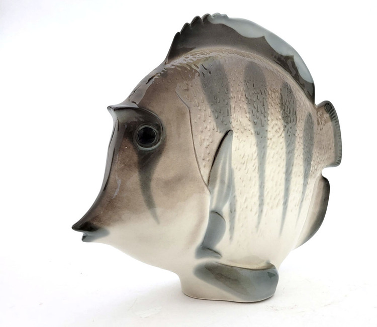 The lovely, striped discus, aka pompadour, fish as created in the Lomonosov Porcelain Factory in St. Petersburg. 8½" x 3" x 7¼". Hand painted, Lomonosov backstamp. The symphysodon is a genus of cichlids native to the Amazon river basin in Brazil. Due to their distinctive shape, calm behavior, and dedicated parenting techniques, discus are popular as freshwater aquarium fish. It has attracted a large hobbyist following and has created a multimillion dollar international industry complete with shows, competitions, and reputable online breeders. The lovely, striped discus, aka pompadour, fish as created in the Lomonosov Porcelain Factory in St. Petersburg. 8½" x 3" x 7¼". Hand painted, Lomonosov backstamp. The symphysodon is a genus of cichlids native to the Amazon river basin in Brazil. Due to their distinctive shape, calm behavior, and dedicated parenting techniques, discus are popular as freshwater aquarium fish. It has attracted a large hobbyist following and has created a multimillion dollar international industry complete with shows, competitions, and reputable online breeders.