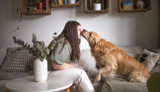 Enkelhet & valfrihet: Smidig tandvård för din hund