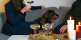 Skotträdd eller stressad hund? Så hjälper du din hund till ett lugnare nyår 