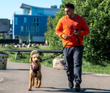 Rätt tillskott för din seniorhund