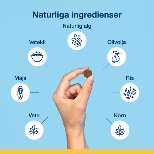 Dental Bites – Veggie Flavor, Hund