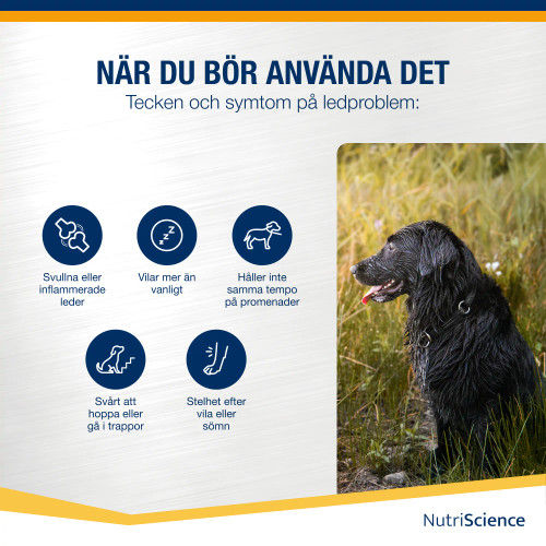Arthri Aid Omega, Hund Arthri Aid Omega, Hund
