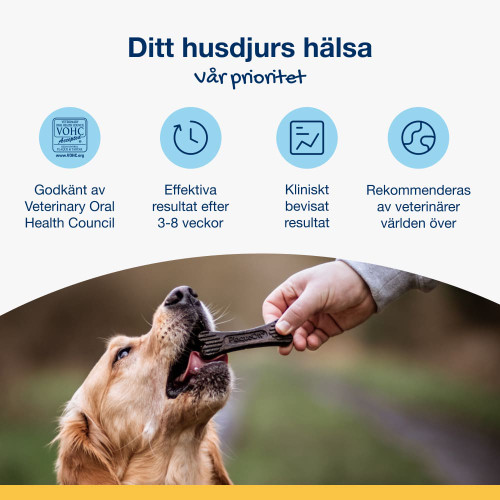 Dental Care Bones - Chicken & Pumpkin Flavor