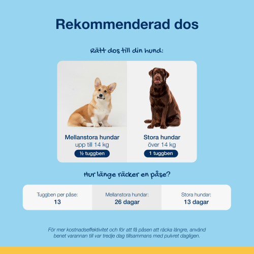 Dental Care Bones - Chicken & Pumpkin Flavor