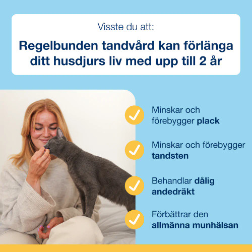 Dental Bites - Salmon Flavor, Katt