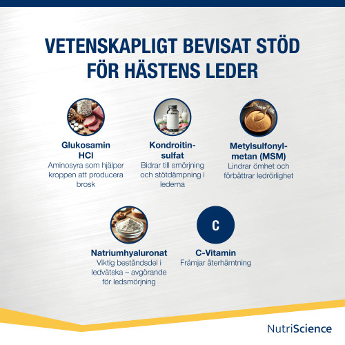 Vetenskapligt bevisat stöd för hästens leder – bild med sex aktiva ingredienser i Arthri Aid: glukosamin, kondroitinsulfat, MSM, natriumhyaluronat, C-vitamin och deras funktioner för ledhälsa och återhämtning.