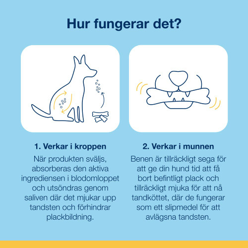 Dental Care Bones - Turkey & Cranberry Flavor