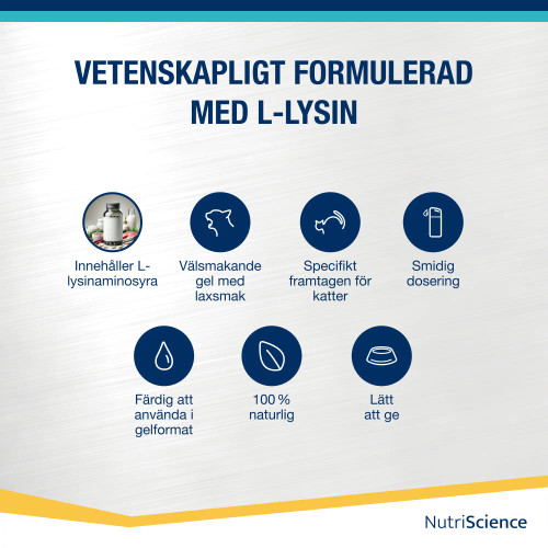 Lysine Aid - Katt
