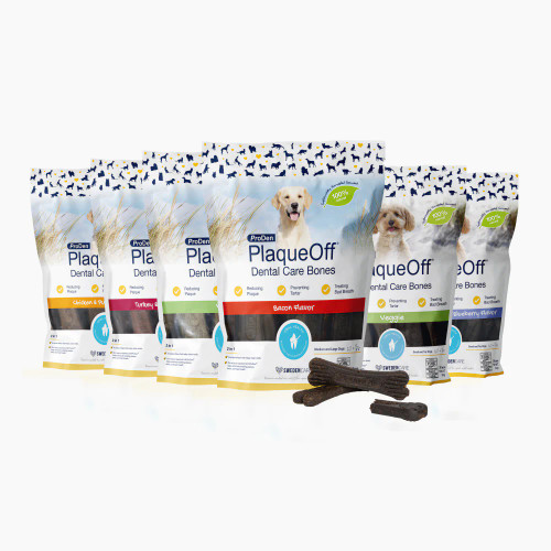 Mini Dental Care Bones - Vegetable Fusion & Blueberry